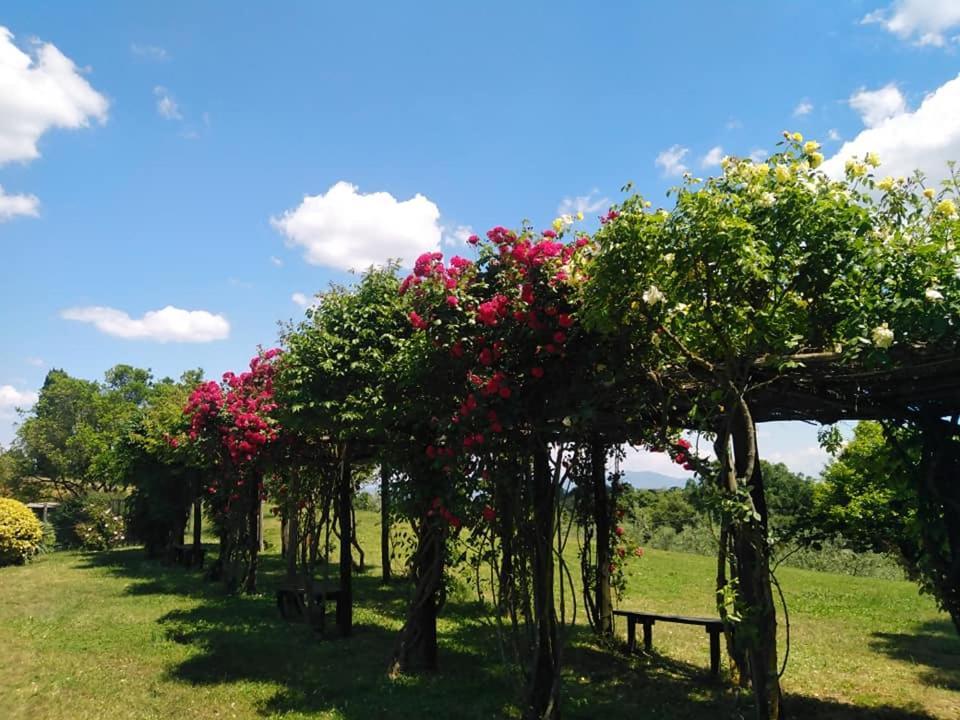 Locanda Rosati Orvieto Exterior photo