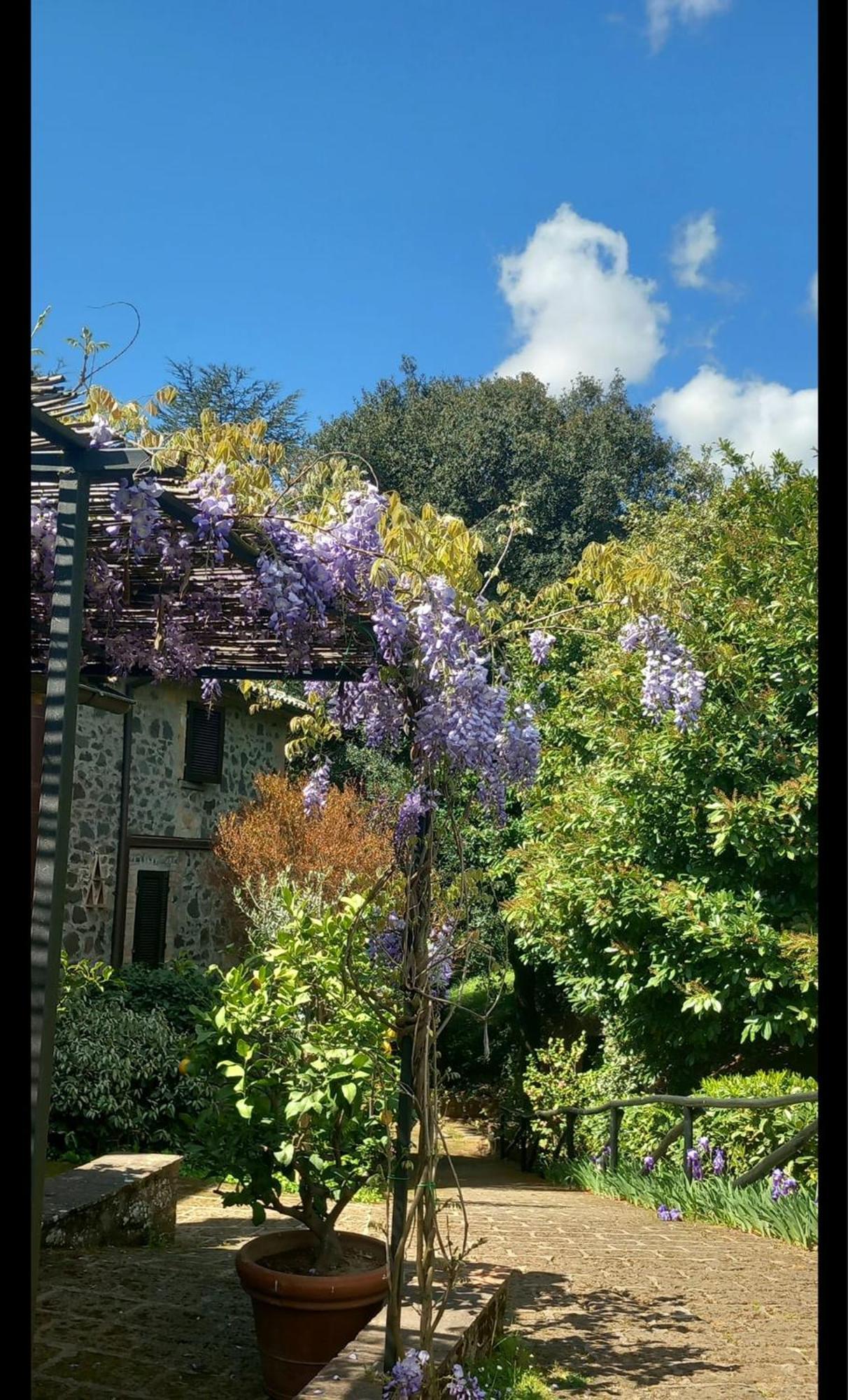 Locanda Rosati Orvieto Exterior photo
