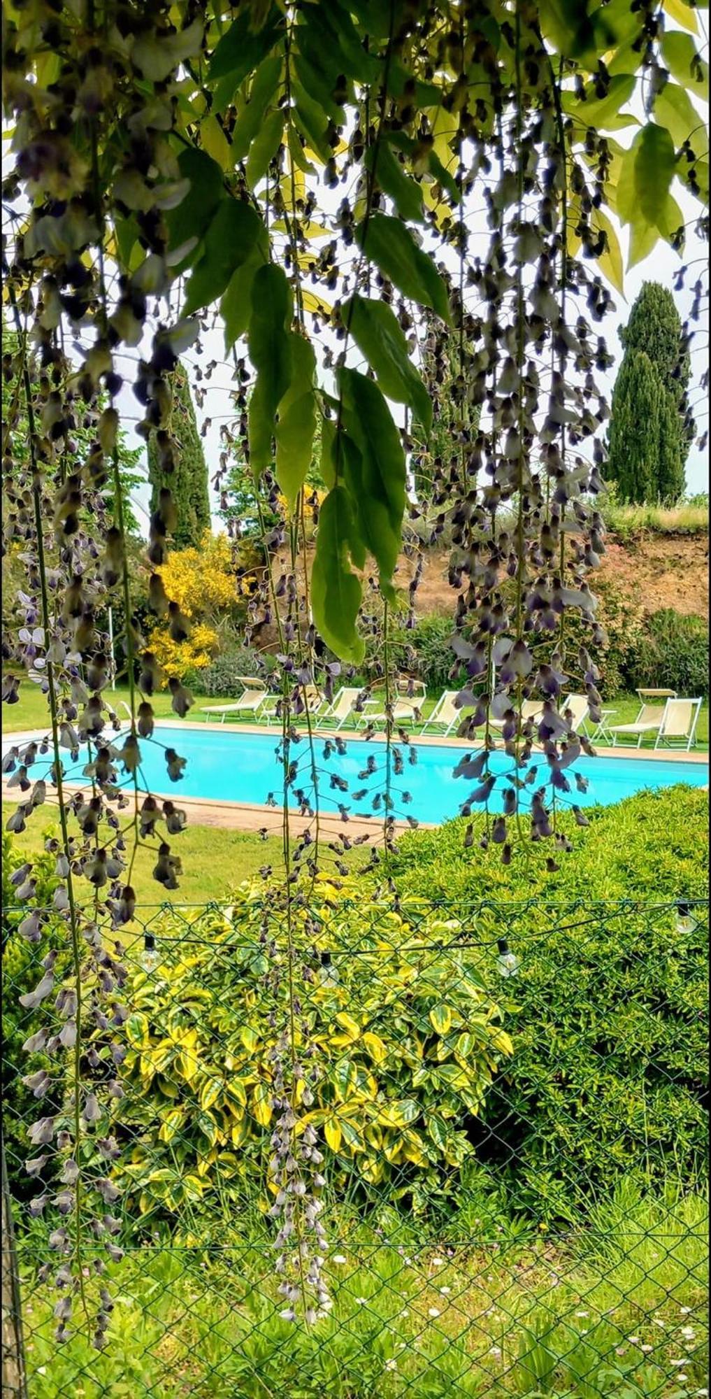 Locanda Rosati Orvieto Exterior photo
