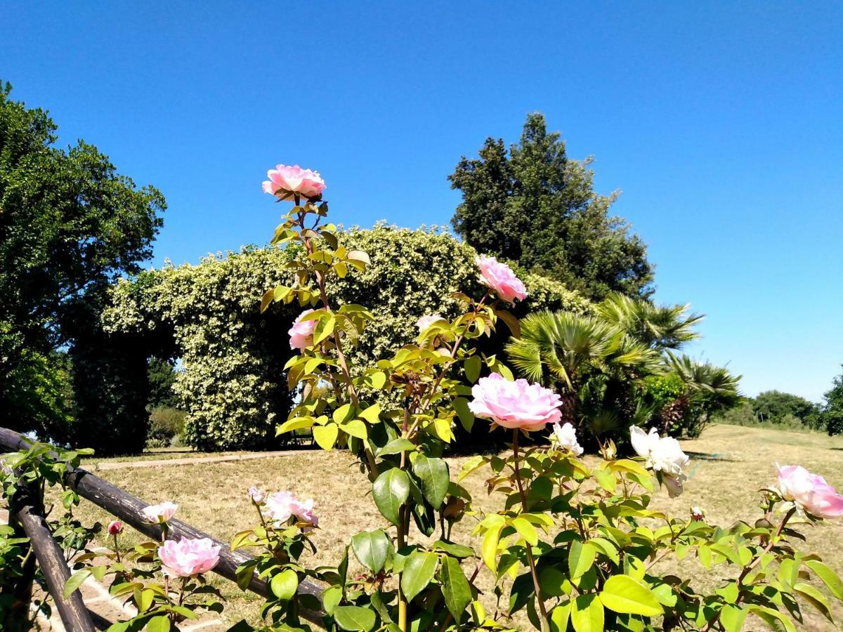 Locanda Rosati Orvieto Exterior photo